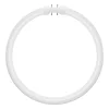 Kör alakú LED fénycső 2GX13 T5 11.6W 1700lm 6500K Hideg 120° Ledvance