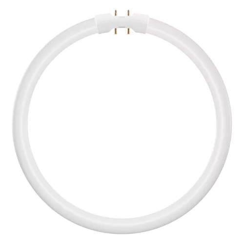 Kör alakú LED fénycső 2GX13 T5 11.6W 1700lm 6500K Hideg 120° Ledvance