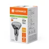 LED izzó R50 E14 1,5W = 25W 110lm 2700K meleg fehér FILAMENT LEDVANCE