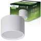 HALOGÉN Felületre szerelt SUNLA Tube Gx53 LED Spot mennyezeti égőhenger fehér LUMILED