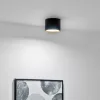HALOGÉN Felületre szerelhető SUNLA Tube Gx53 LED Spot mennyezeti égőhenger fekete - arany LUMILED
