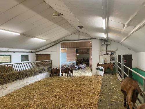 Hermetic LED lámpa porálló 50W 6500lm 4000K IP67 fehér nedves tető speciális Ledvance