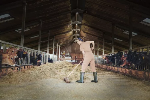 Ipari lámpa kültéri LED lámpatest 80W 9300lm 6500K IP65 fekete Highbay Ufo Ledvance