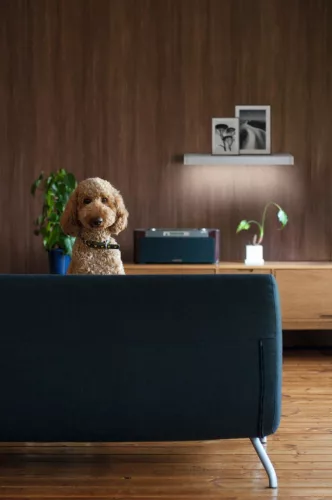 LED fali lámpa, megvilágított polclámpa, 6,5 W, 550 lm, IP44, 3000 K, meleg, lineáris, Ledvance