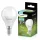 E14 P40 LED izzó 2,5W = 25W 249lm 6500K Hideg 180° LUMILED