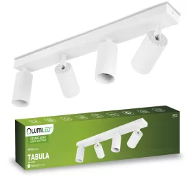   Mennyezeti lámpa SPOT TUBA Reflektor Halogén lámpatest 4x GU10 TABULA LUMILED