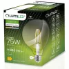 E27 G95 LED izzó 8W = 75W 4000K Semleges Globe Izzószál LUMILED