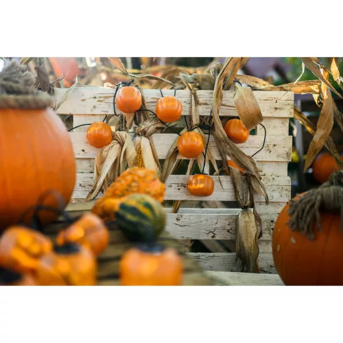 Elemes füzér 8xLED dekoratív sütőtök 4,45 méteres Halloween fények + USB C