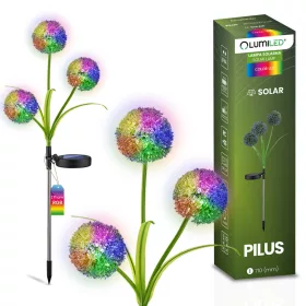   Napelemes kerti lámpa LED PILUS RGB Betét Dekoratív Virág Fokhagyma LUMILED