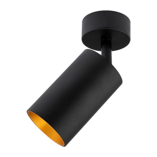 ERIS SPOT mennyezeti lámpa, reflektor, GU10 halogén lámpa, fekete és arany