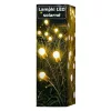 Napelemes LED kerti lámpa, pitypang, 0.6W, 25lm, 3000K, meleg fehér, 360°, alkonyérzékelővel, fekete, IP44, Masterled