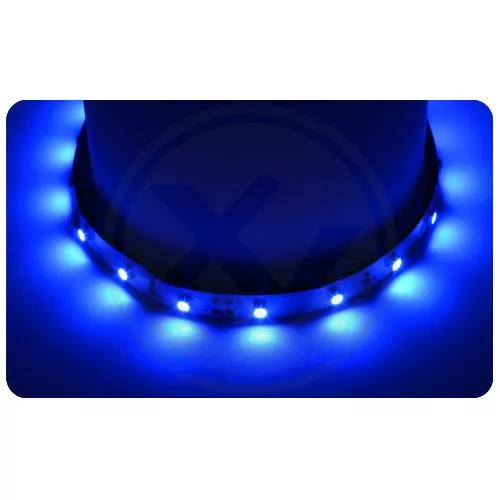 LED szalag SMD 2835 4.8W/m 3000lm Kék IP65 5m 12V Prémium Masterled