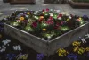 Dekoratív LED fénypontok RGB 4W SMART+ WiFi GARDEN 18 Dot LEDVANCE