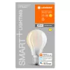 E27 A67 LED izzó 7.5W = 75W 2700K Meleg 1055lm 300° LEDVANCE SMART+ WIFI izzószál szabályozható