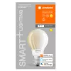 E27 A67 LED izzó 11W = 100W 2700K Meleg 1521lm 300° LEDVANCE SMART+ WIFI izzószál szabályozható