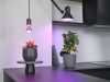 LED növényi izzó 10W E27 330lm Növekedéstámogató Világító Osram
