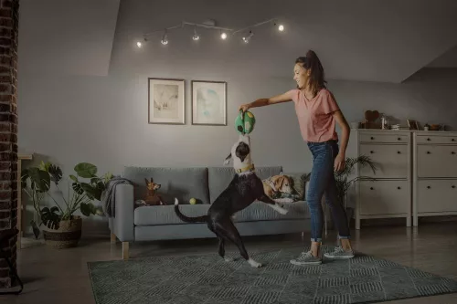 Mennyezeti lámpa spotlámpa GU10 20.4W 1380lm 2700K Meleg fehér 36° Szabályozható spotlámpa Osram