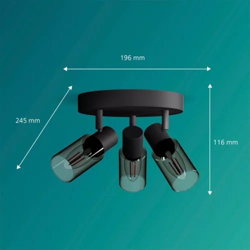 Mennyezeti lámpa Spotlámpa 3x E14 Black Palms Philips
