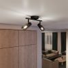 Mennyezeti lámpa spotlámpa 2x E14 Black Palms Philips