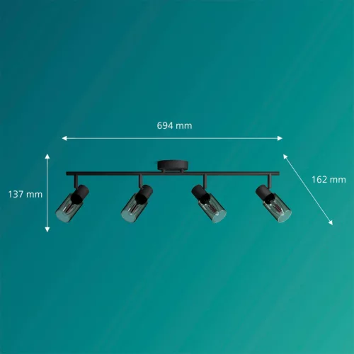 Mennyezeti lámpa spotlámpa 4x E14 Black Palms Philips
