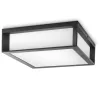 LED kerti lámpa kültéri mennyezeti SKIES myGarden 2xE27 IP44 mennyezeti fali lámpa antracit PHILIPS