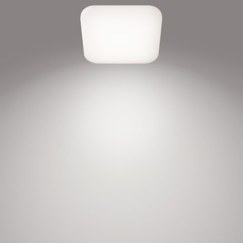 LED mennyezeti lámpa, felületre szerelt MAUVE 12W 4000K 26cm négyzet alakú PHILIPS