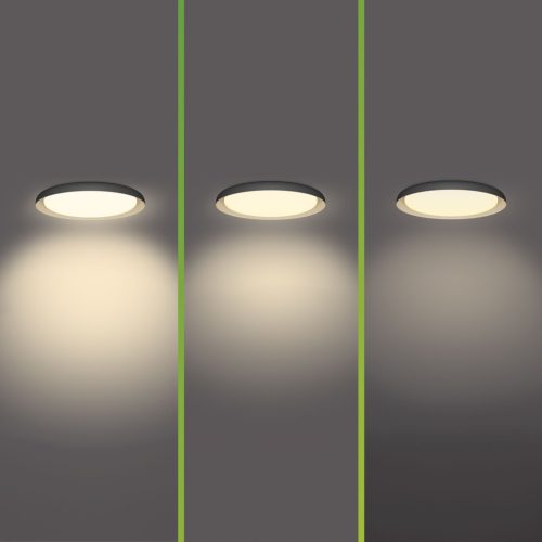 Mennyezeti lámpa LED mennyezeti lámpa 10W 1850lm 2700K SceneSwitch Fekete Pebblo Ultra Hatékony Philips