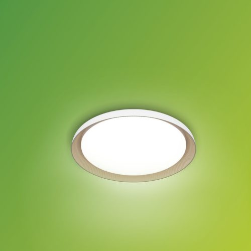 Mennyezeti lámpa LED mennyezeti lámpa 10W 1850lm 2700K SceneSwitch Fehér Pebblo Ultra Hatékony Philips