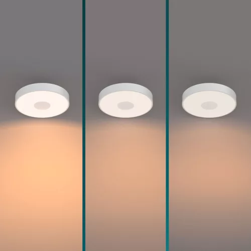 Mennyezeti lámpa LED mennyezeti lámpa 24W 2700lm 2700K SceneSwitch White Coiner Philips