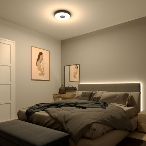 Mennyezeti lámpa LED 24W 2700lm 2700K SceneSwitch Black Coiner Philips