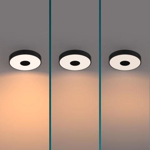 Mennyezeti lámpa LED 24W 2700lm 2700K SceneSwitch Black Coiner Philips