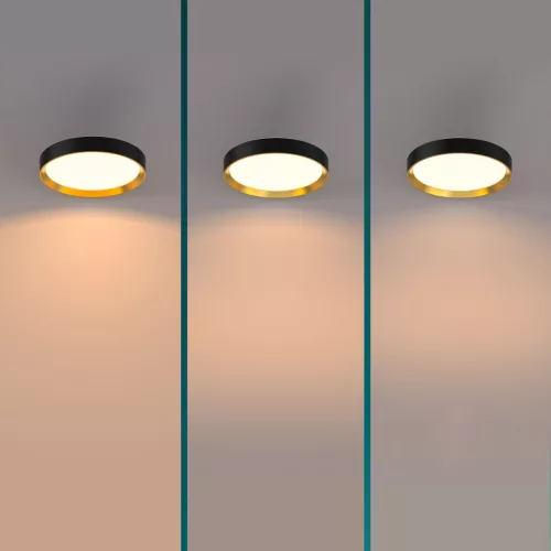 Mennyezeti lámpa LED 24W 2700lm 2700K SceneSwitch fekete Hanno Philips