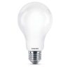 LED izzó E27 A67 13W = 120W 2000lm 6500K Cold PHILIPS