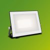 LED reflektor lámpa reflektor 20W 2050lm 3000K IP65 Black Lois Philips