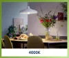 LED izzó E14 gömb alakú P45 2,3 W = 40 W 485 lm 210 lm/W 4000 K Semleges 300° A OSZTÁLY UltraEfficient Philips