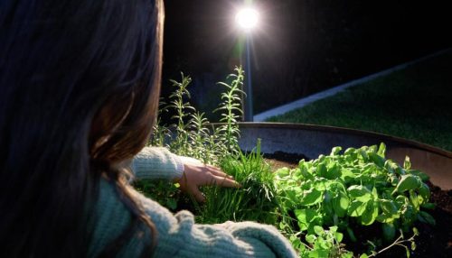 Kültéri lámpa SPOT kerti érzékelő Connect LED GU10 IP44 7W 3000K érzékelő + Bluetooth süllyesztett antracit acél