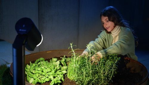 Kültéri kerti lámpa SPOT Way Sensor Connect LED GU10 IP44 7W 3000K érzékelő + Bluetooth Post Antracit Steinel