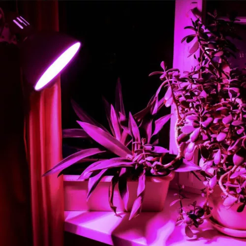 E27 8W LED izzó FITO VIDEX növénynövesztő lámpa