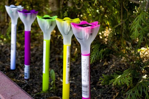 Solar LED kerti lámpa TULIPE zöld