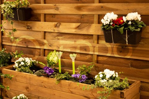 Solar LED kerti lámpa TULIPE zöld