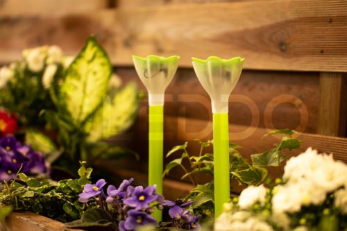 Solar LED kerti lámpa TULIPE zöld